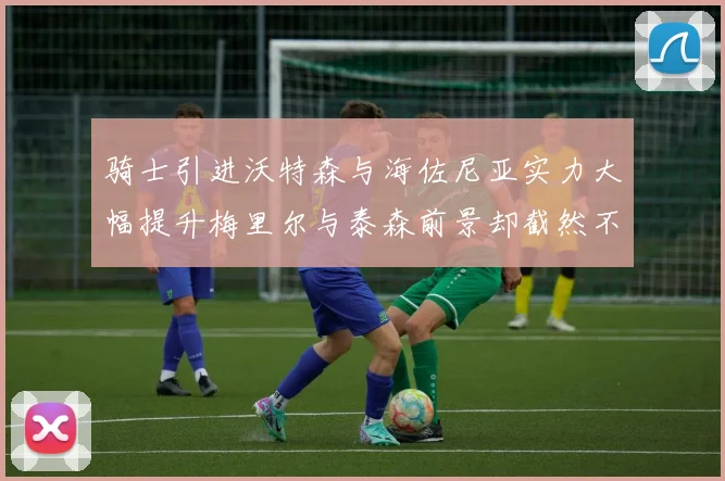 骑士引进沃特森与海佐尼亚实力大幅提升梅里尔与泰森前景却截然不同