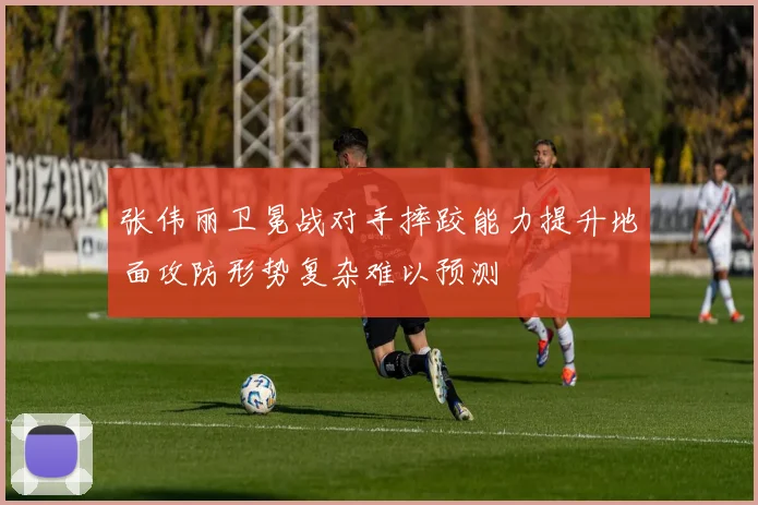 张伟丽卫冕战对手摔跤能力提升地面攻防形势复杂难以预测